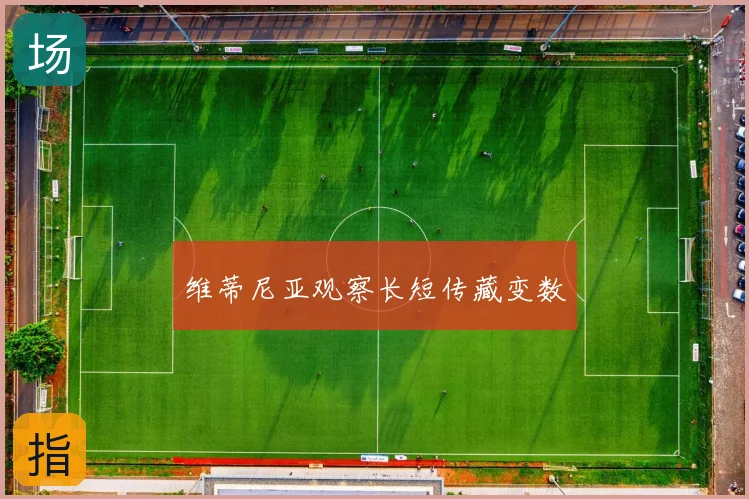 维蒂尼亚观察长短传藏变数