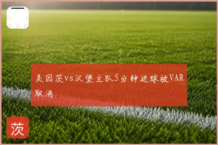 美因茨vs汉堡主队5分钟进球被VAR取消